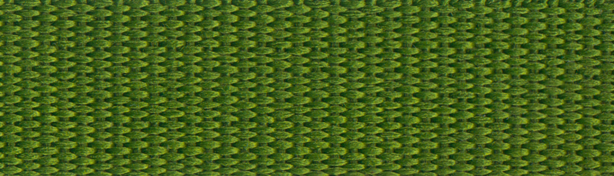 Fern swatch image