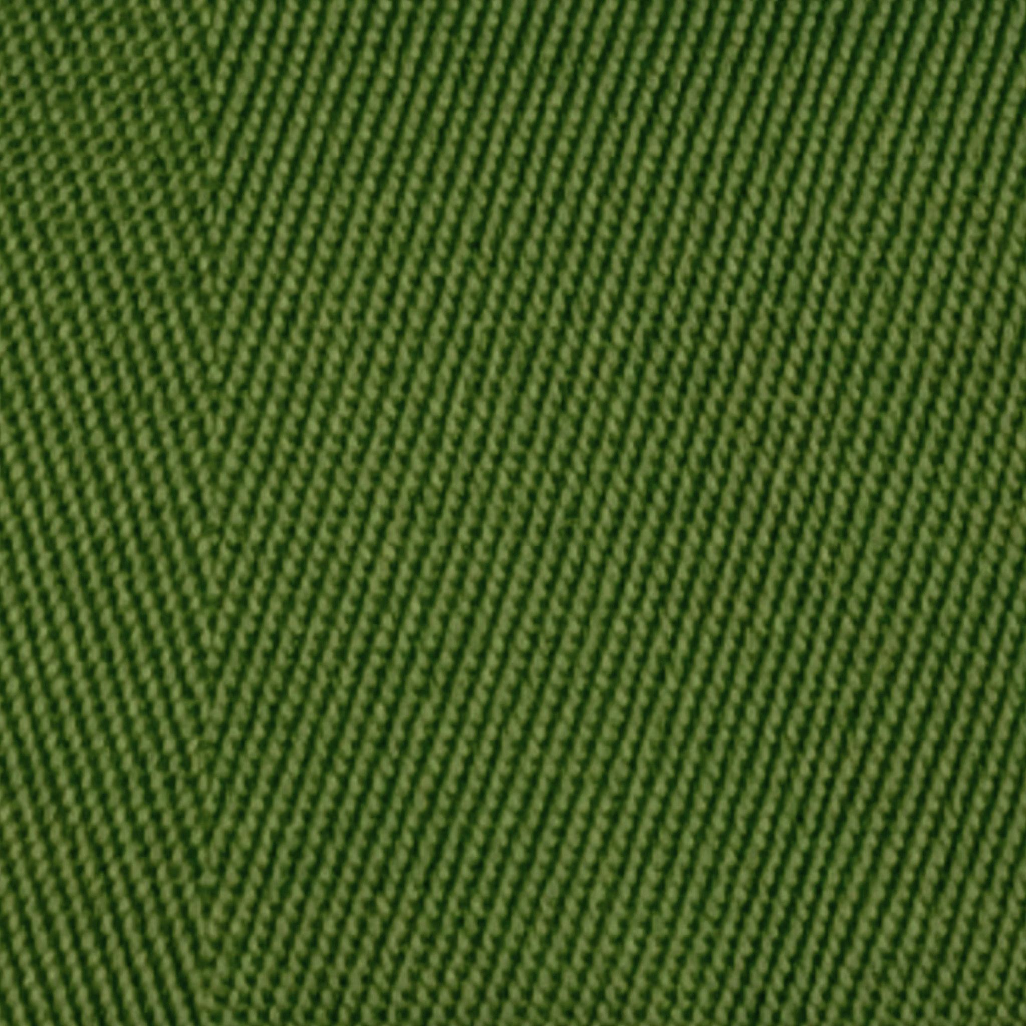 Fern swatch image